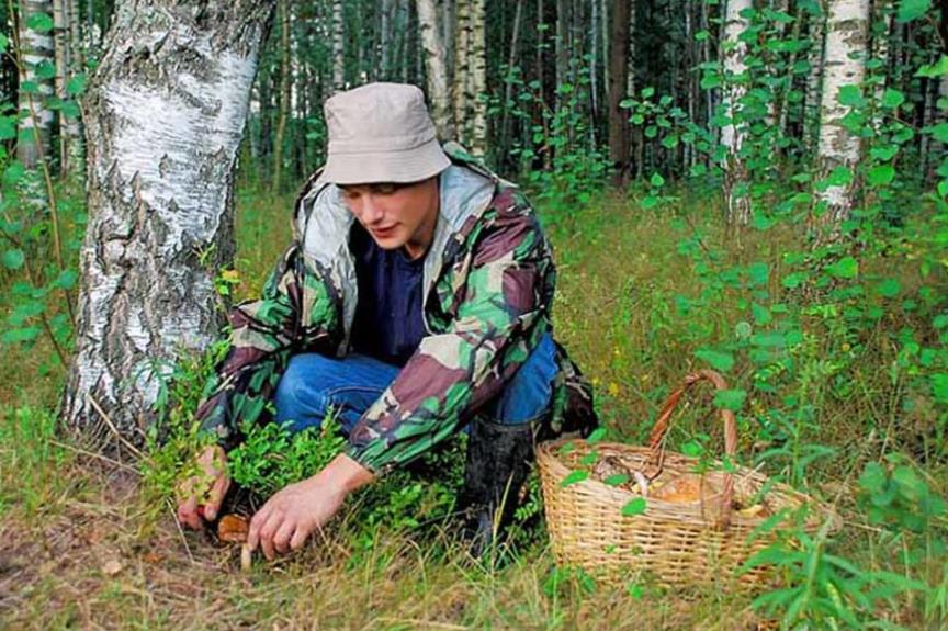 коронавирус - переехать в деревню