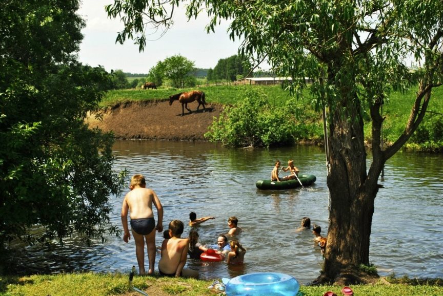 Здоровая жизнь