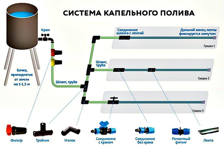 система полива