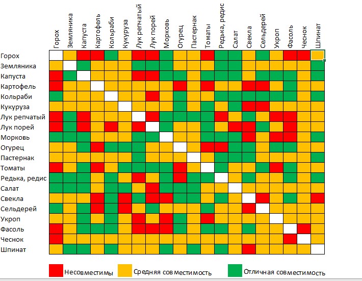 совместимость огородных культур