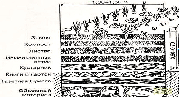 Схема теплой грядки