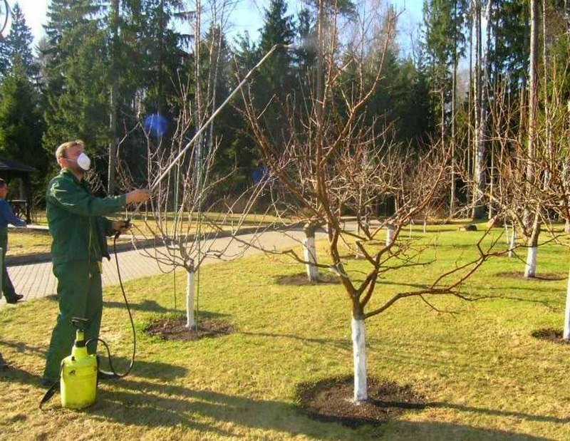 Весенние работы - опрыскивание