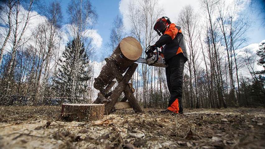 Спецодежда при работе с бензопилой