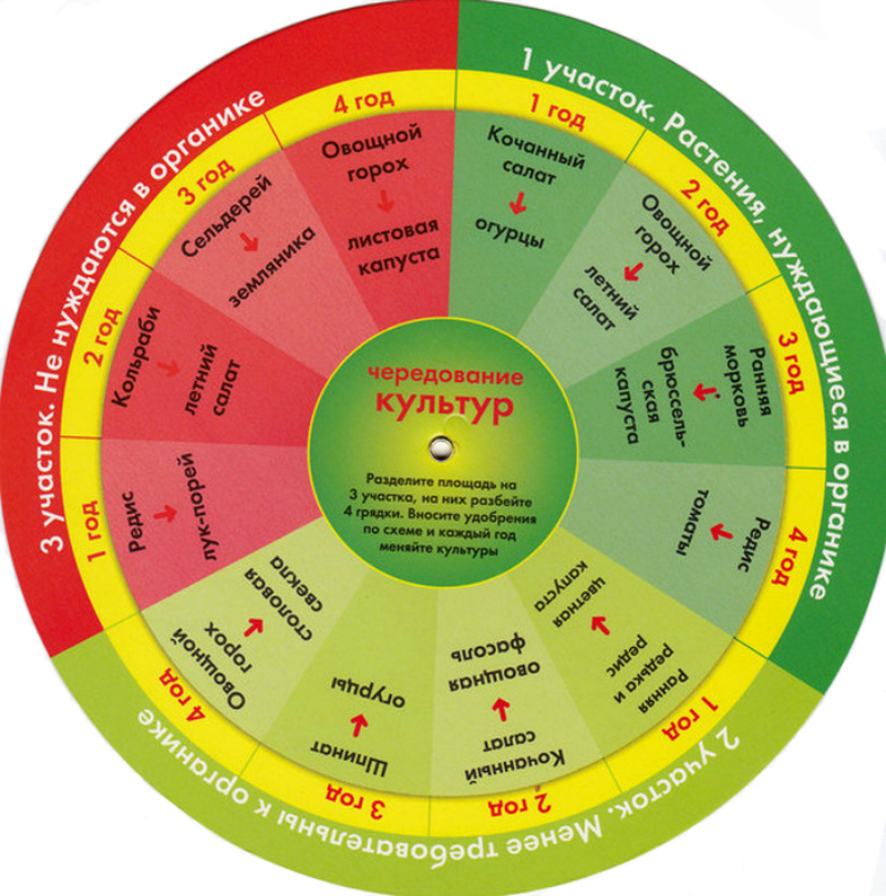 Как правильно спланировать севооборот, таблица чередования культур