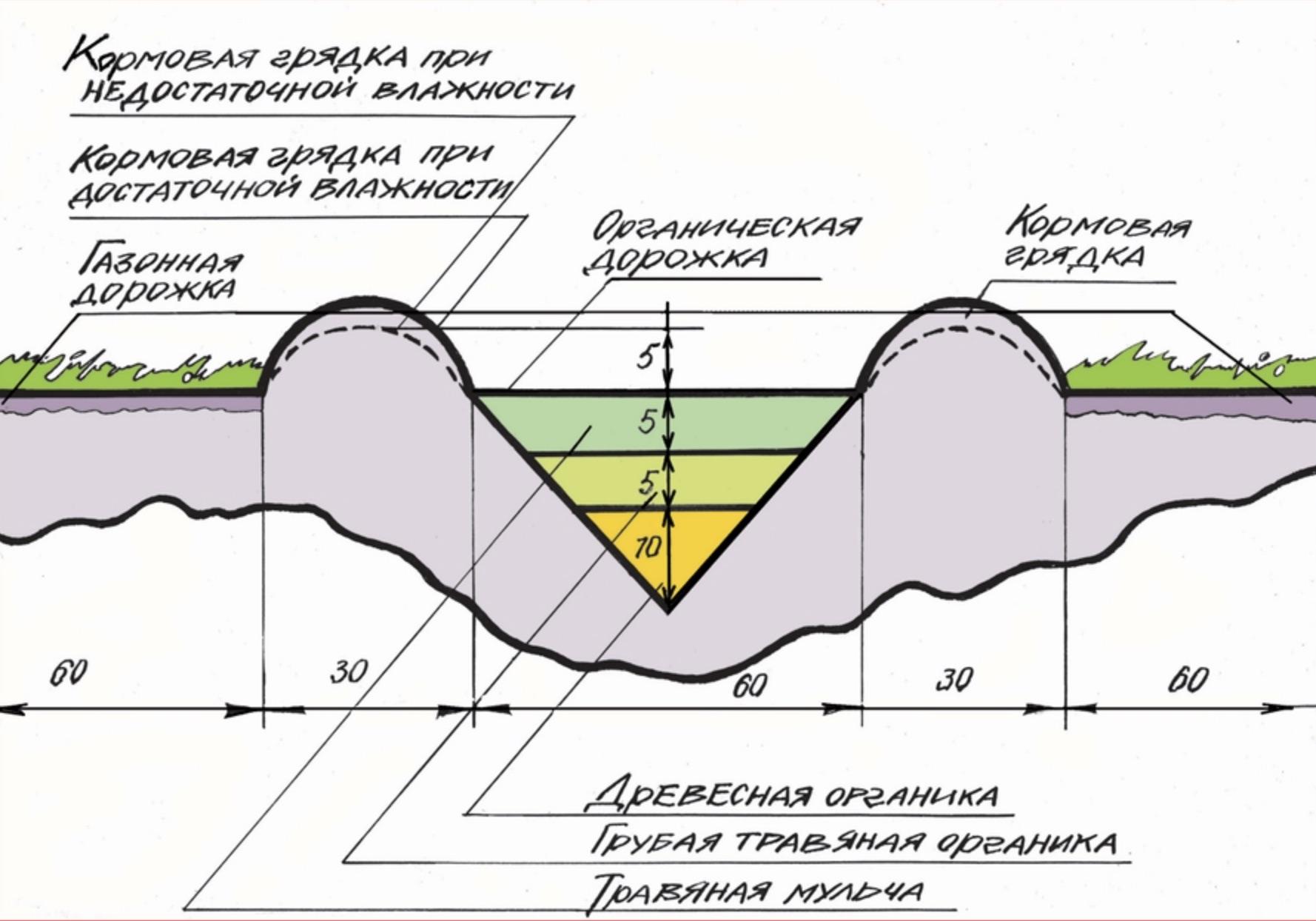 Грядки Розума