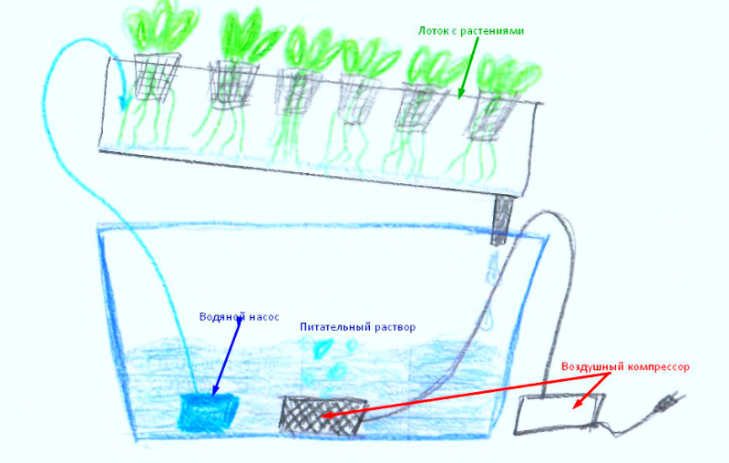 Схема гидропоники
