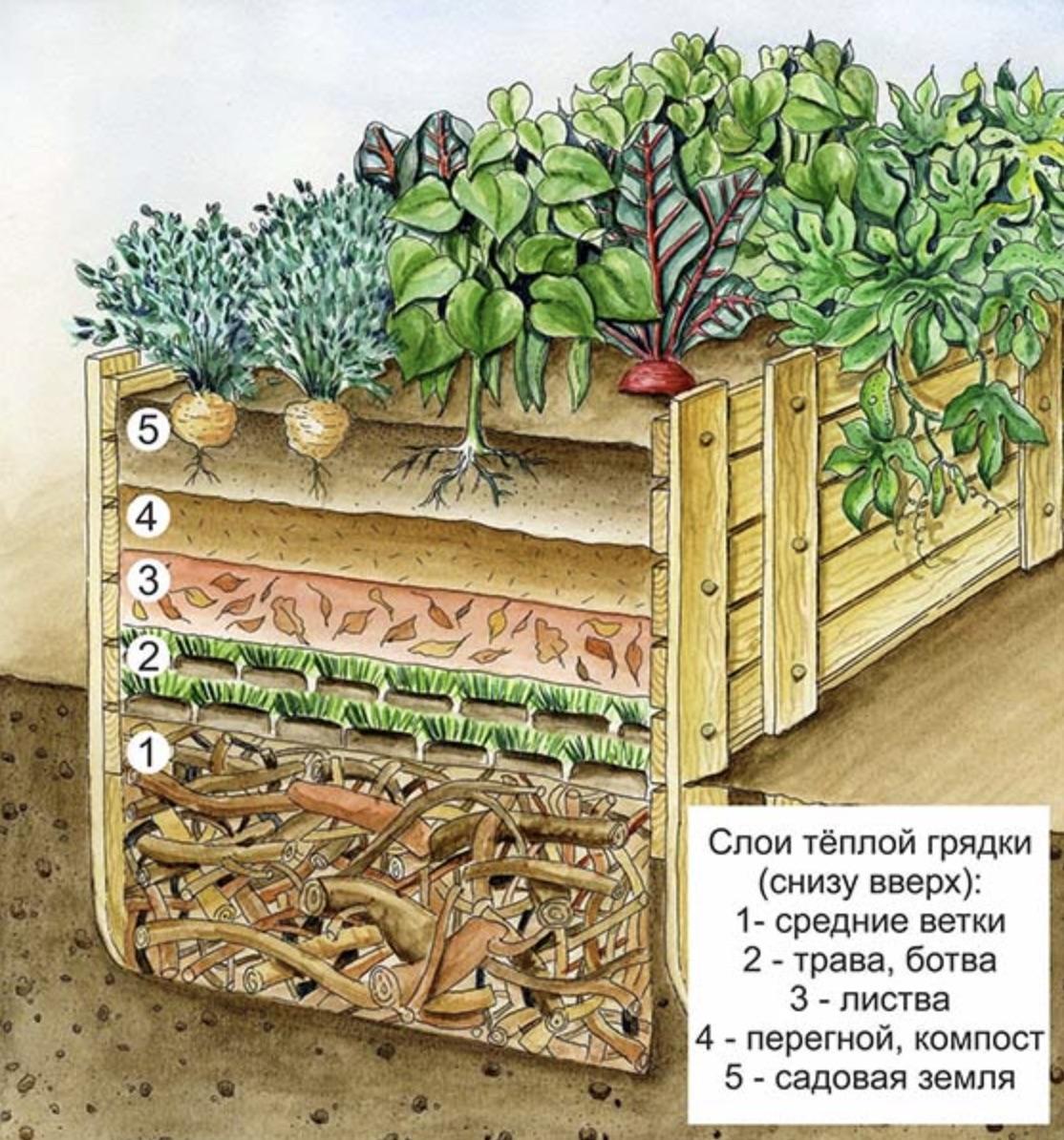 Теплые грядки своими руками