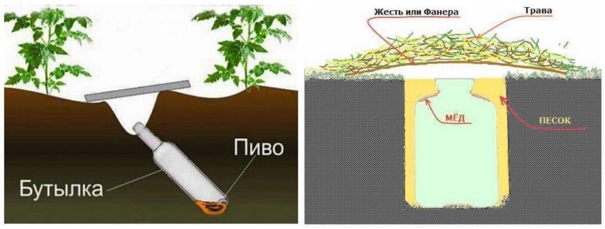 ловушки для медведки