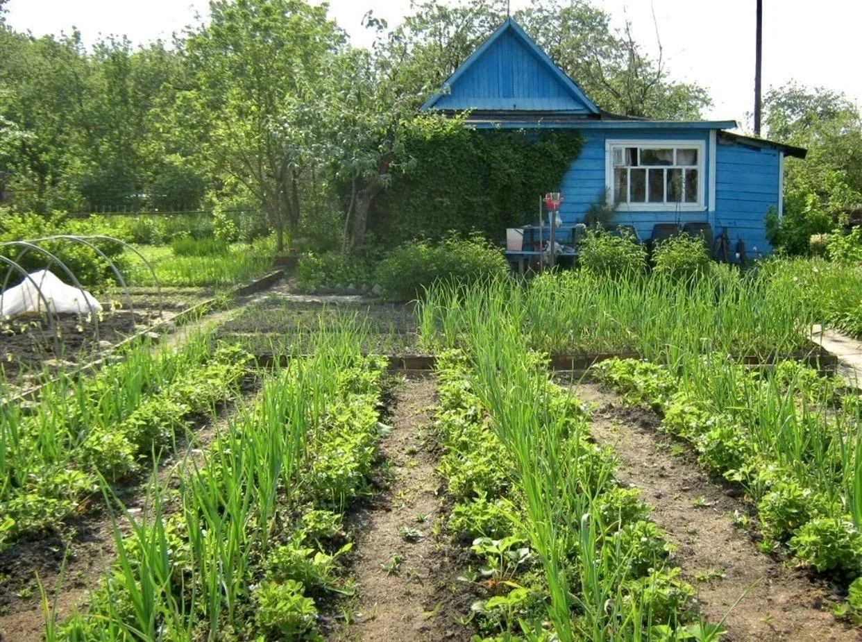 Участок земли в деревне