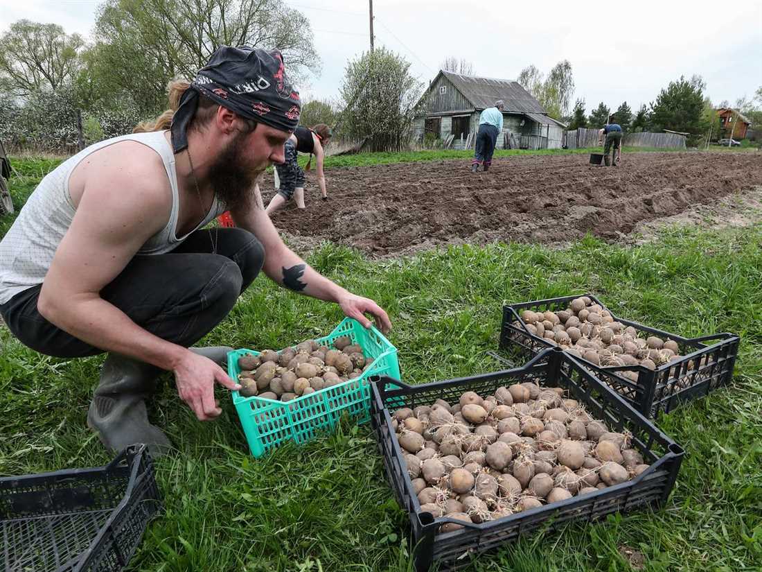 3. Упаковка и хранение