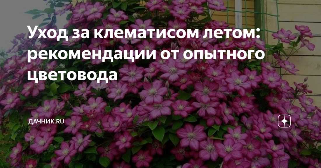 1. Выбор времени для обрезки