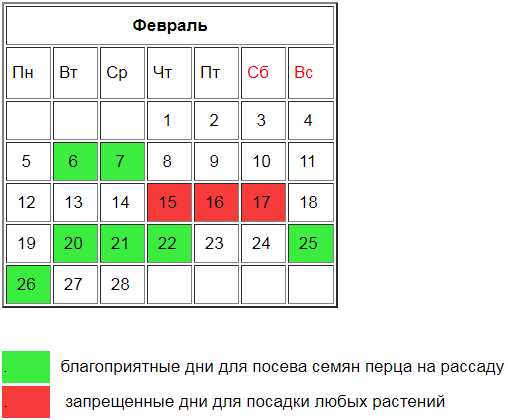 Как выбрать оптимальное место для посадки перца