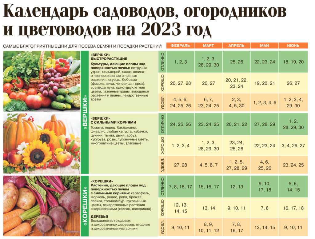 Миф 2: Лунный календарь помогает предотвратить болезни и вредителей