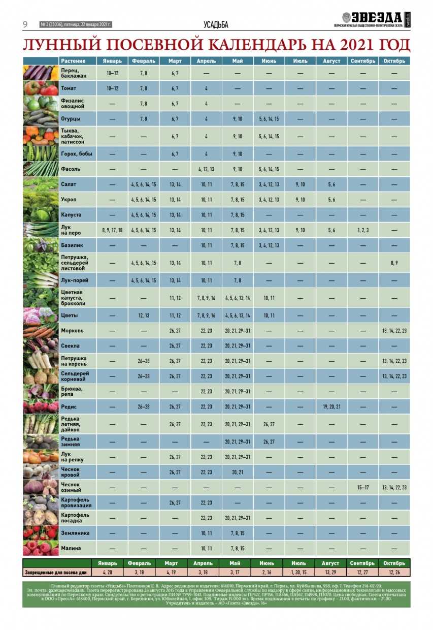 Лучшие дни для посева весенних культур в 2021 году