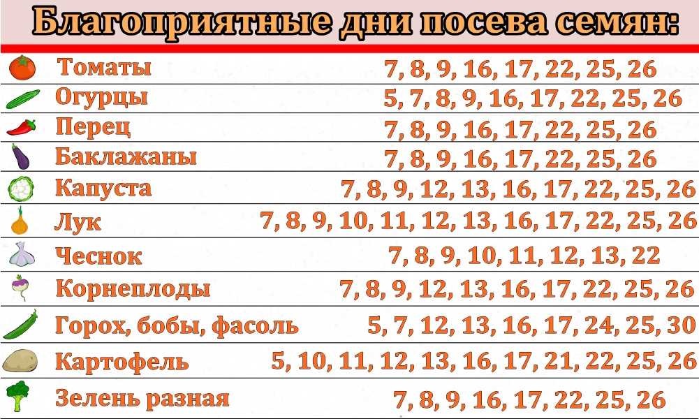 5. Защита от вредителей