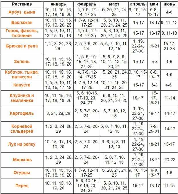 Растения, не рекомендуемые для посева в марте: