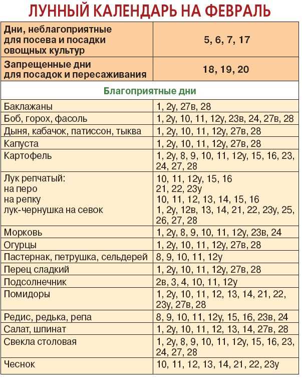 Уход за перцем после посадки