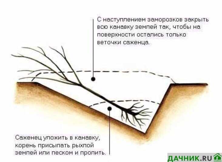 Удобрение