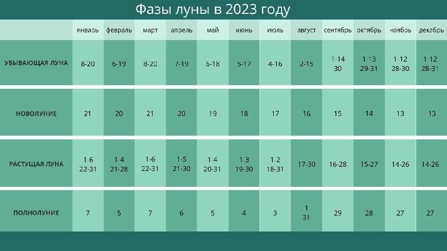 3. Поддержка растений