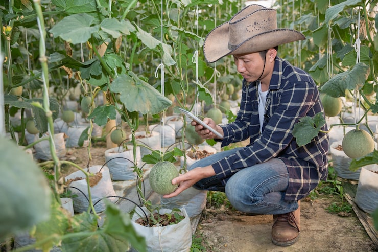 p5b5fzlt0vj34fdyad